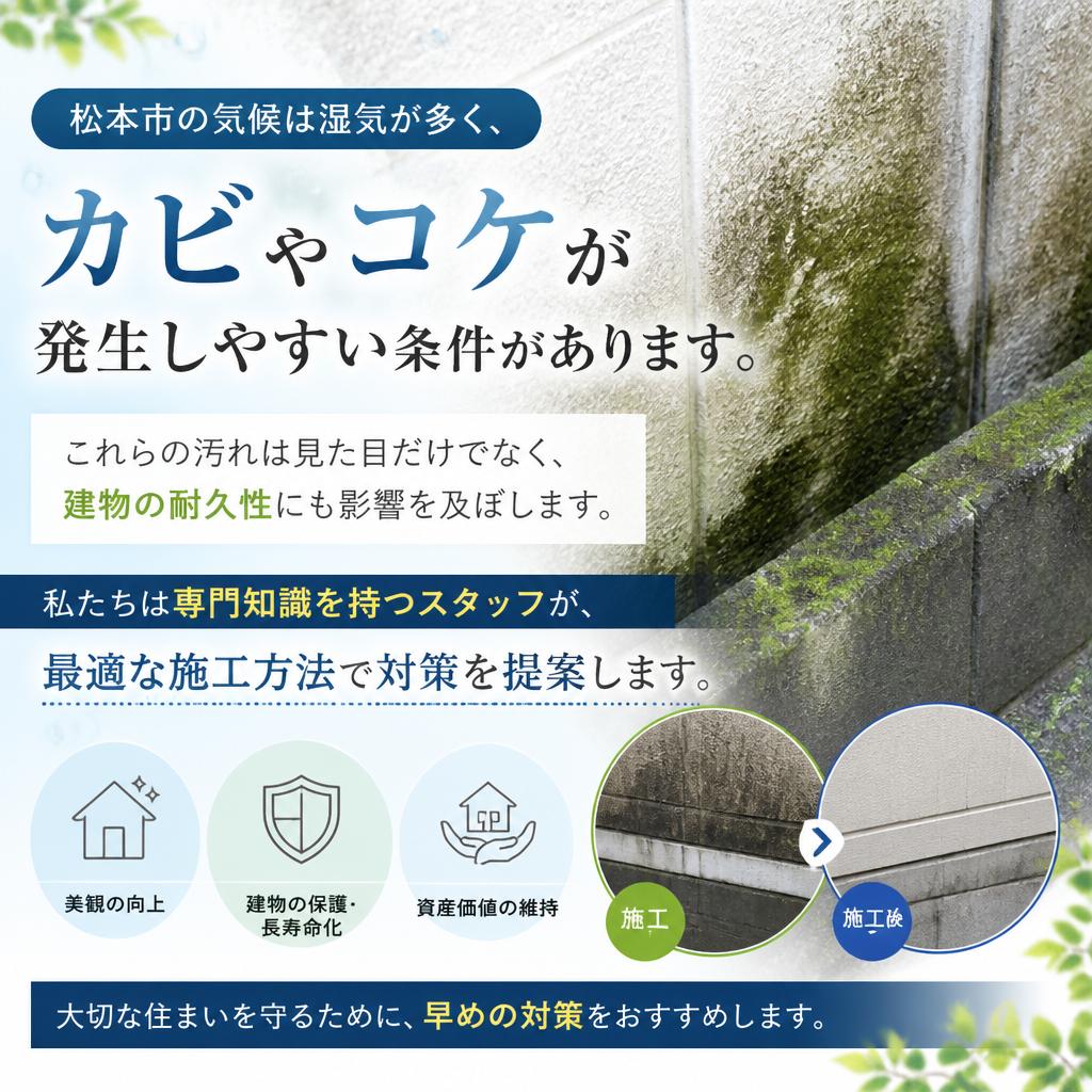 松本市特有のカビやコケの悩み