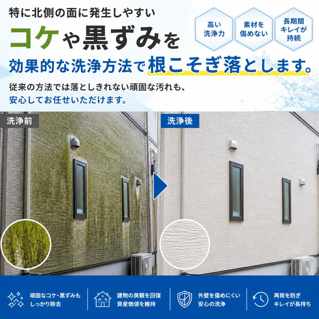 コケと黒ずみを徹底除去！
