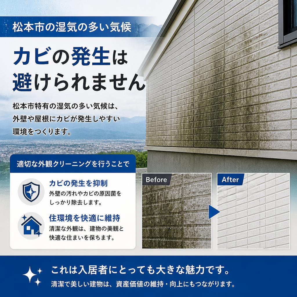 カビ対策で安心の住環境を提供