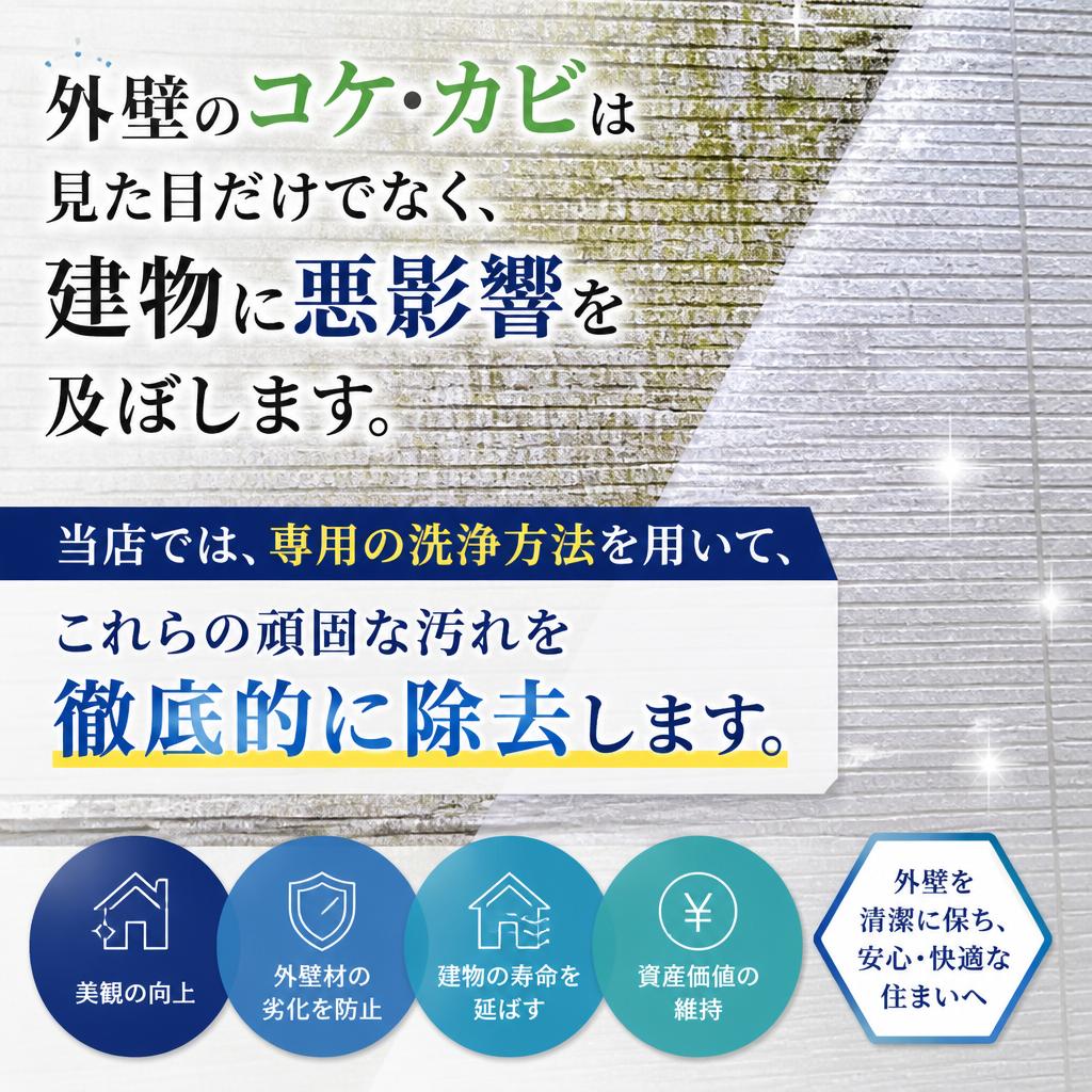 コケやカビの徹底除去